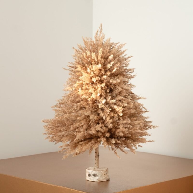 Fluffy pampas tree