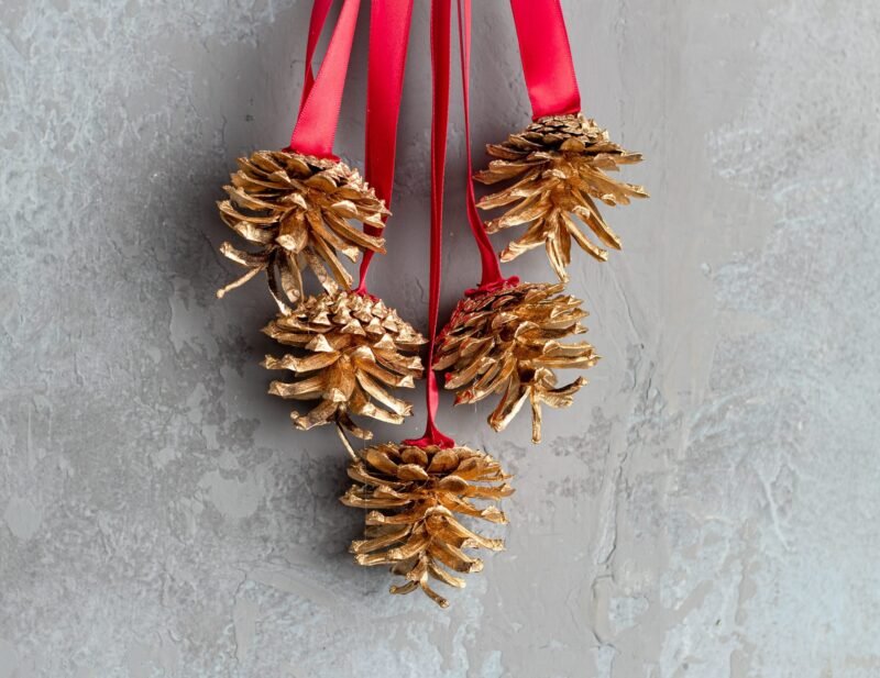 Natural pinecone hanger