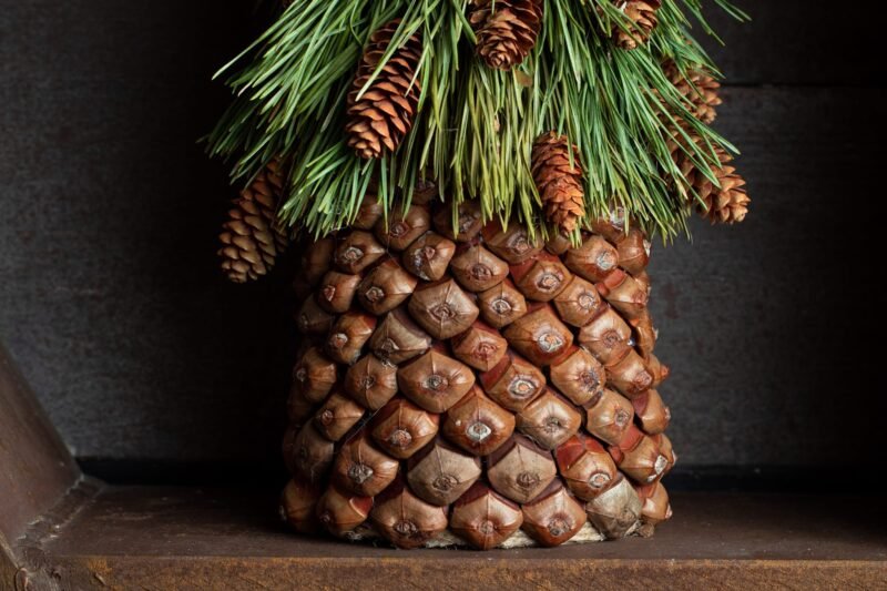 Organic pine Christmas tree - Image 3