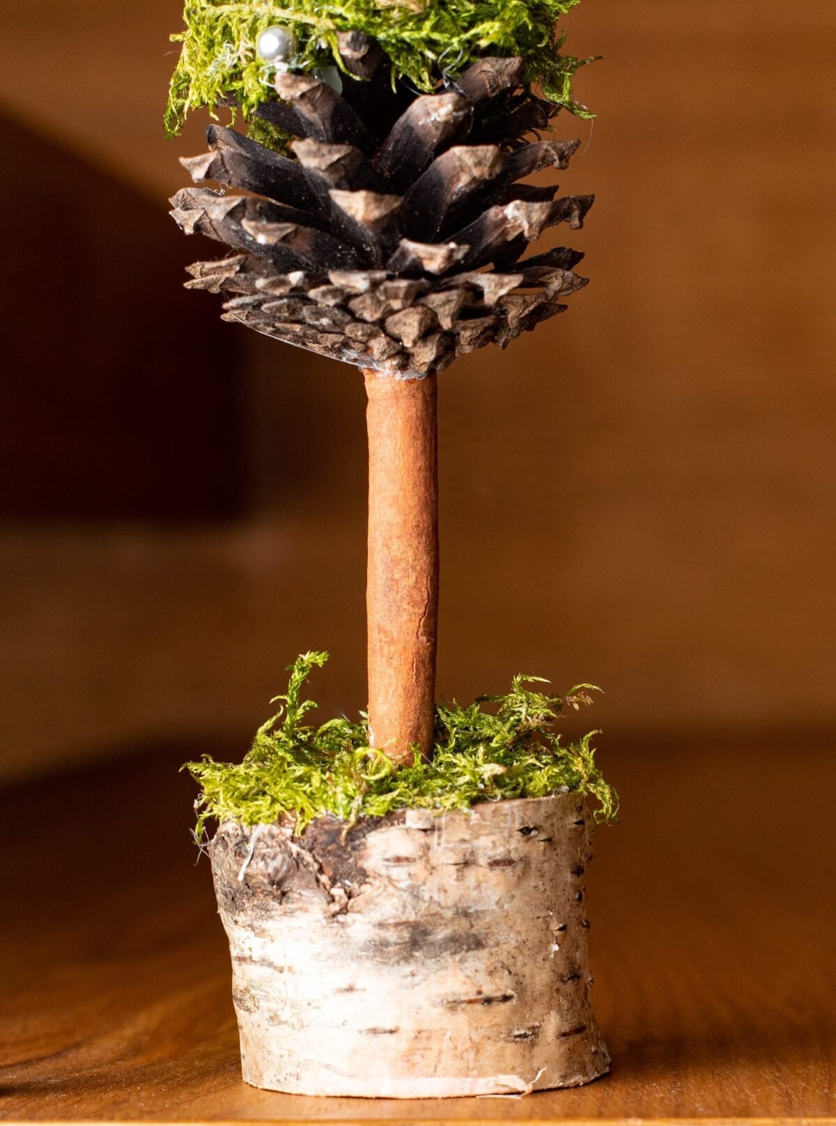 Mini green moss Christmas tree - Image 5