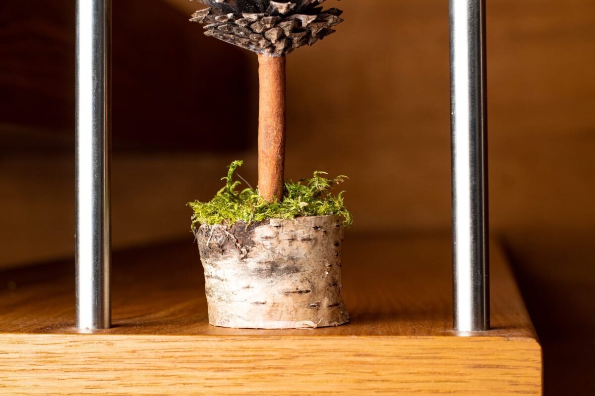 Mini green moss Christmas tree - Image 4