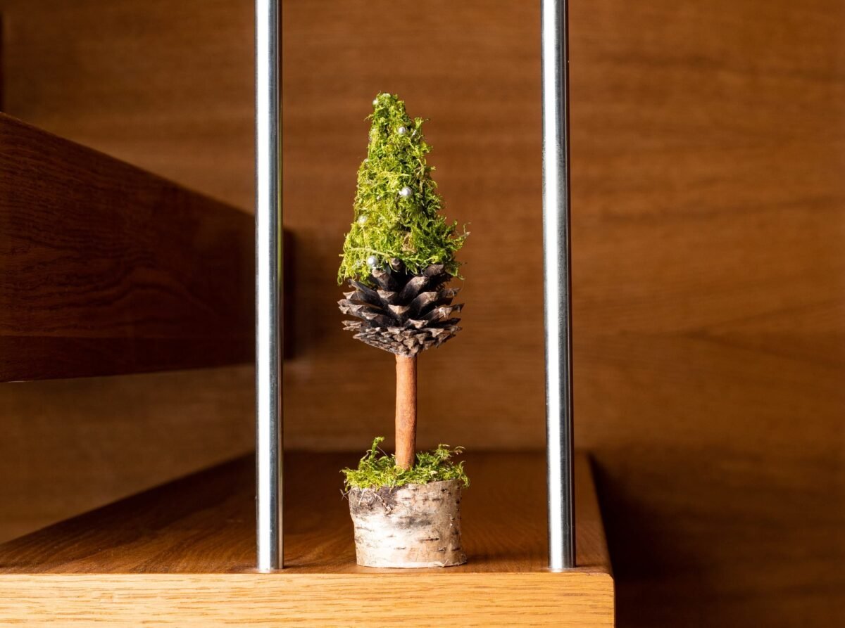 Mini green moss Christmas tree