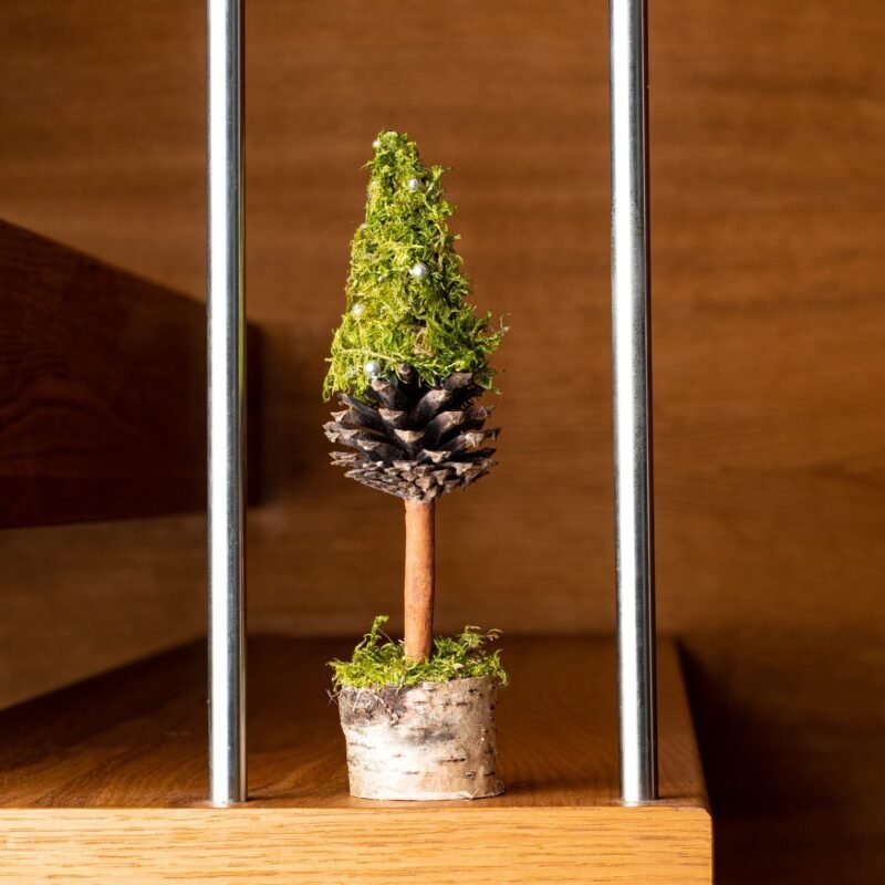 Mini green moss Christmas tree