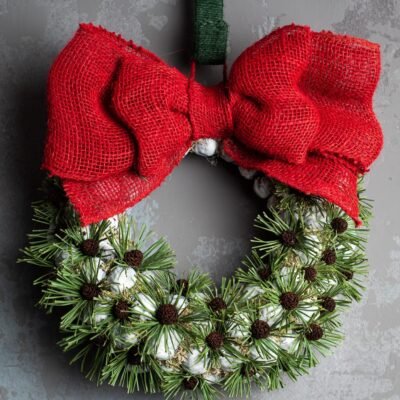 Spiky chestnut Christmas wreath