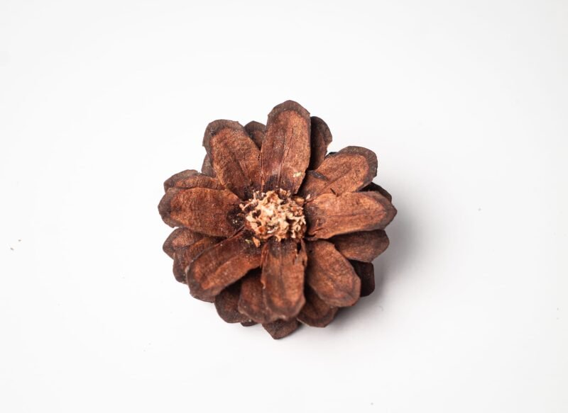 Hand-carved pinecone flowers - Image 5