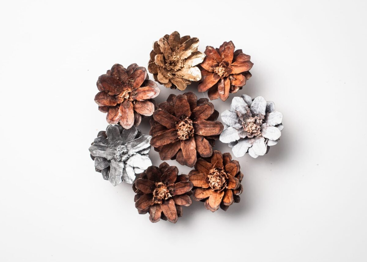 Hand-carved pinecone flowers - Image 2