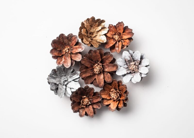 Hand-carved pinecone flowers - Image 2