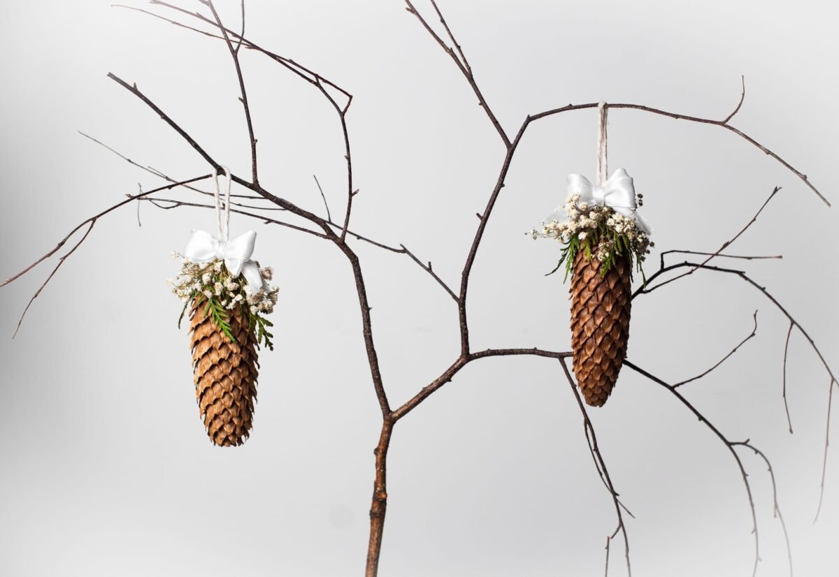 Large pinecone toys - Image 6