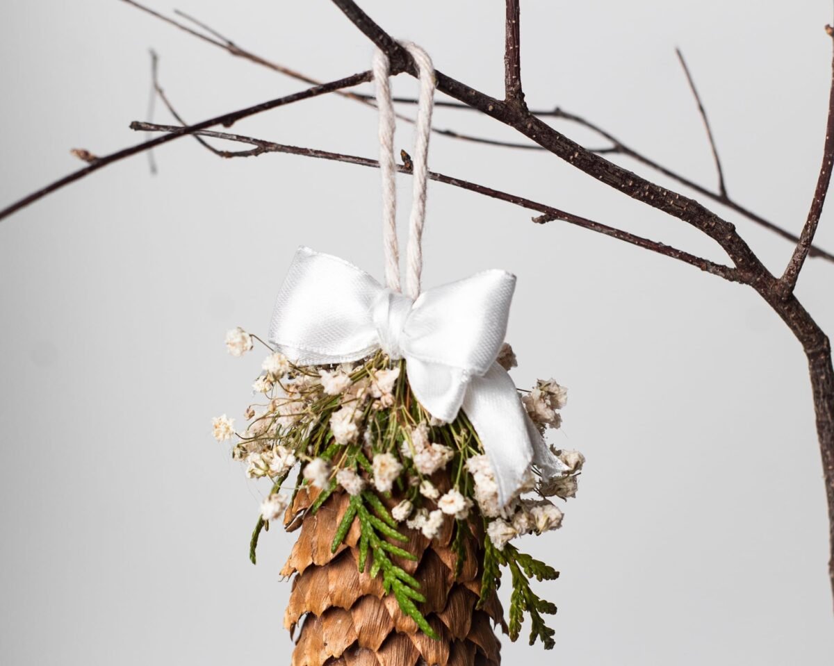 Large pinecone toys - Image 5