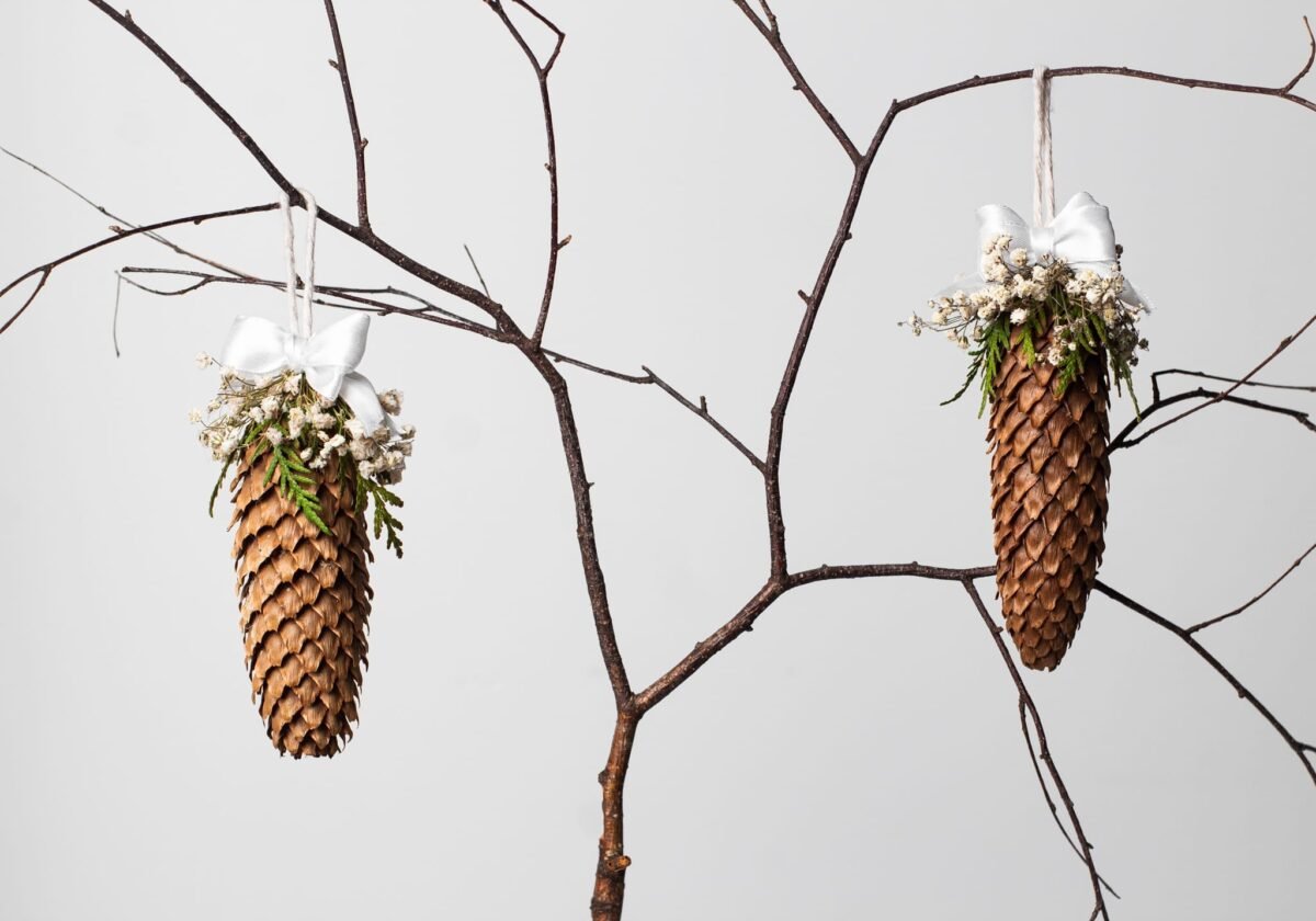 Large pinecone toys - Image 3