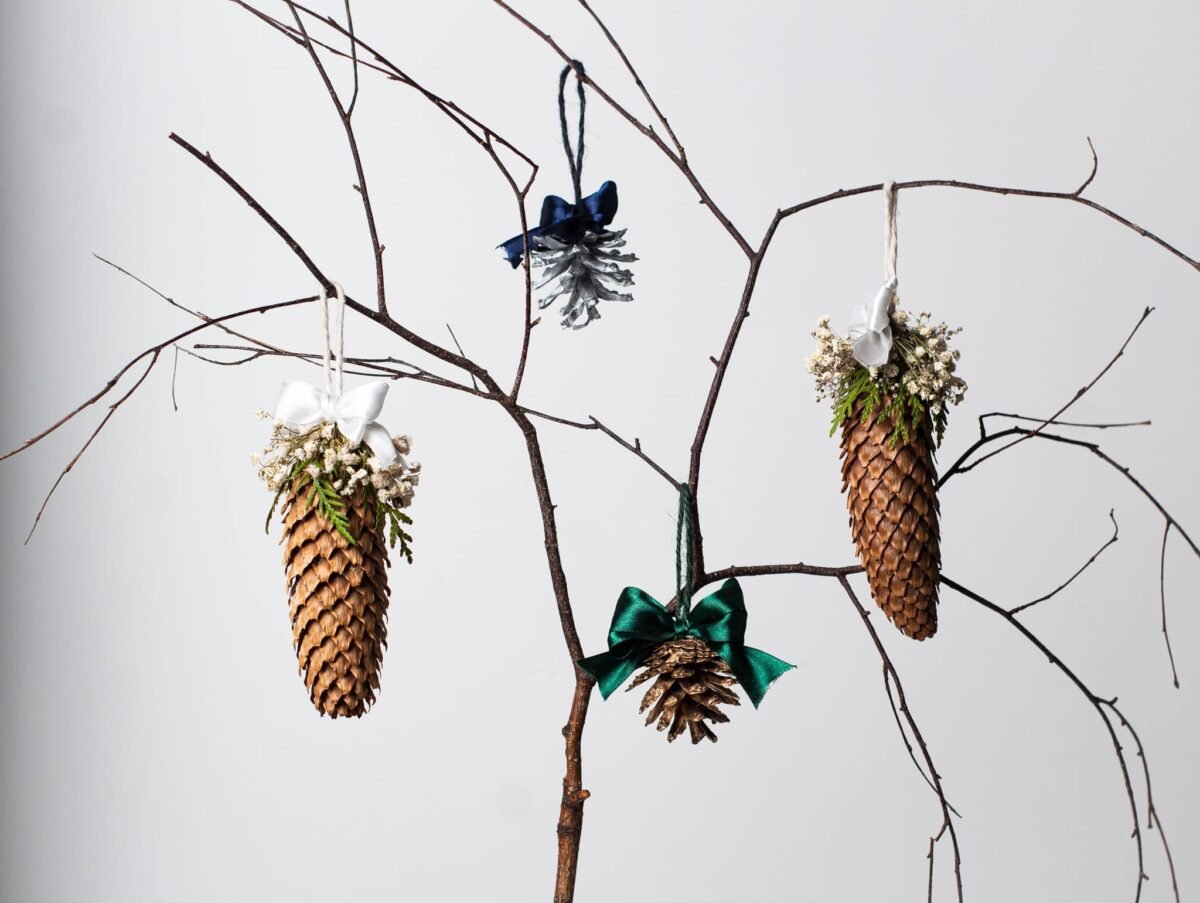 Large pinecone toys - Image 2