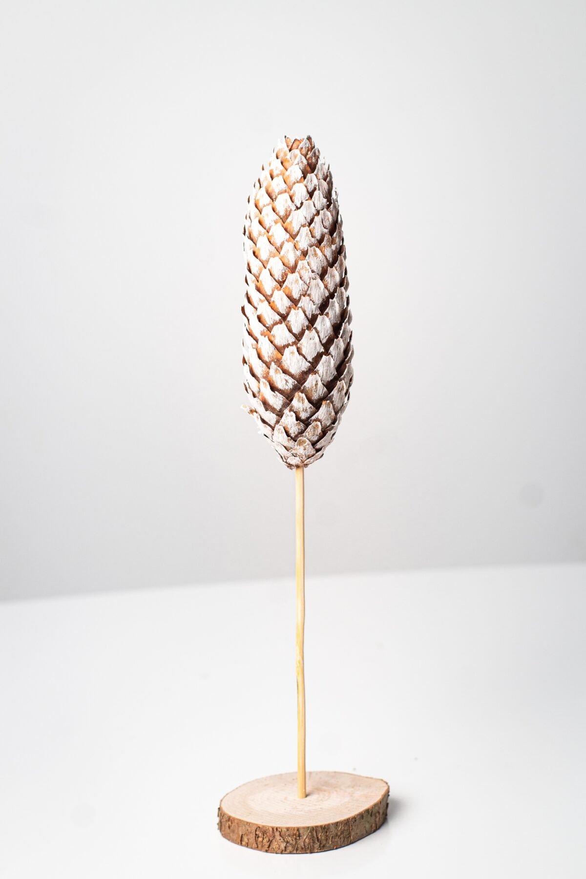 Mini pinecone trees - Image 3