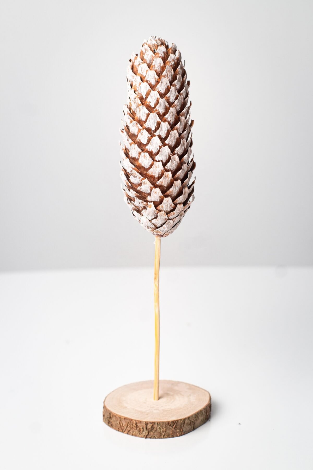 Mini pinecone trees - Image 8
