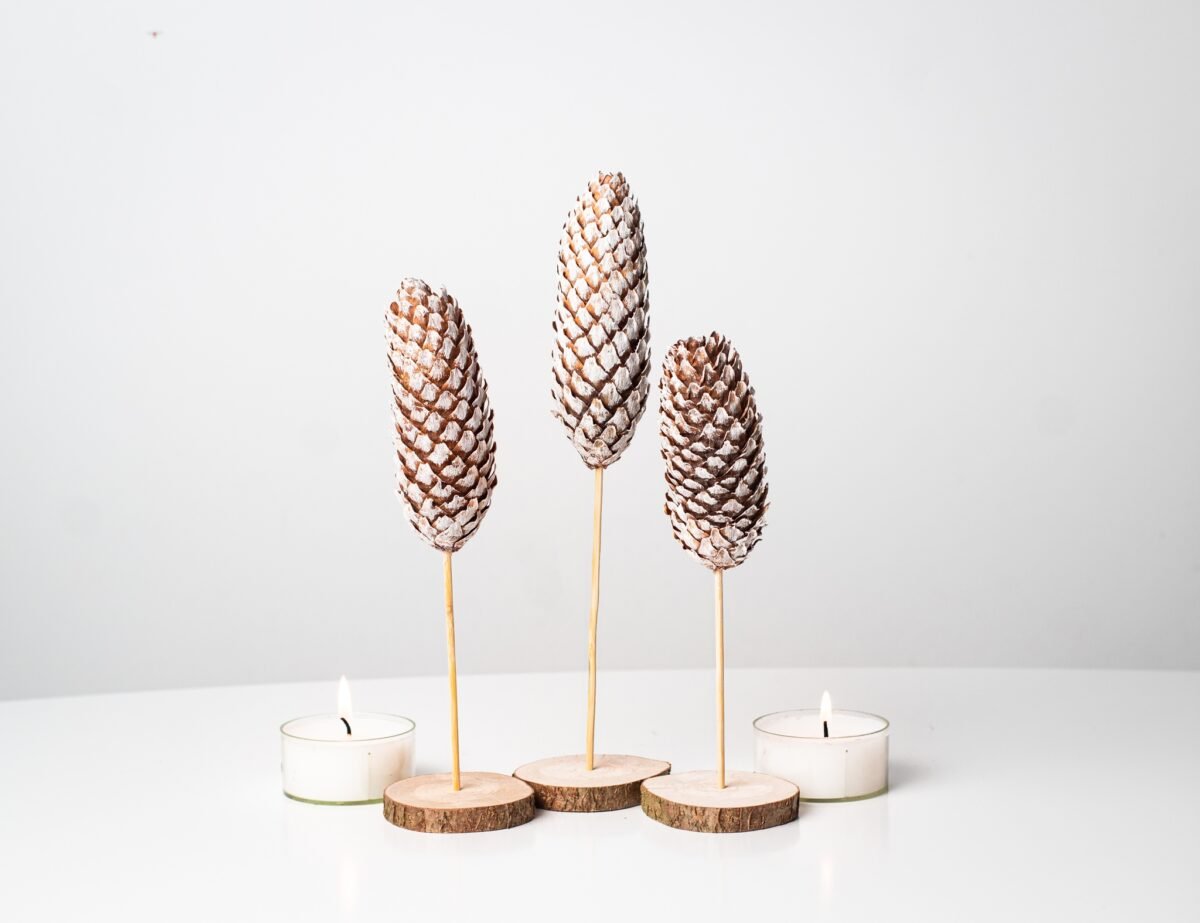 Mini pinecone trees - Image 4