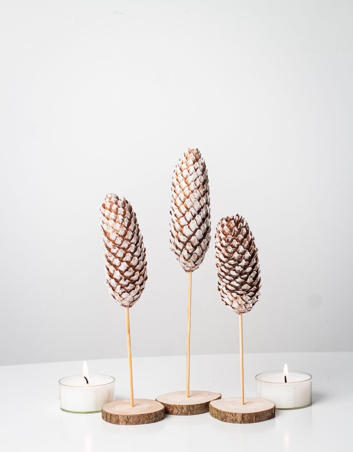 Mini pinecone trees - Image 5