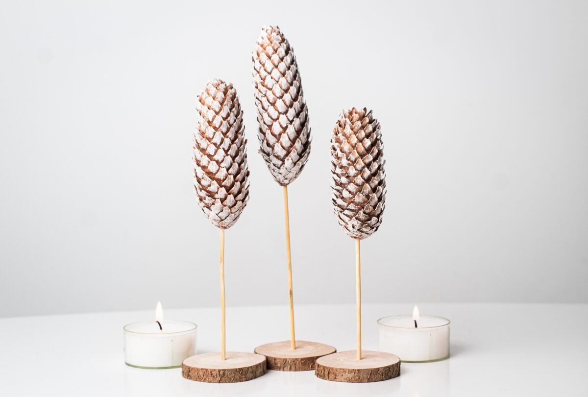 Mini pinecone trees