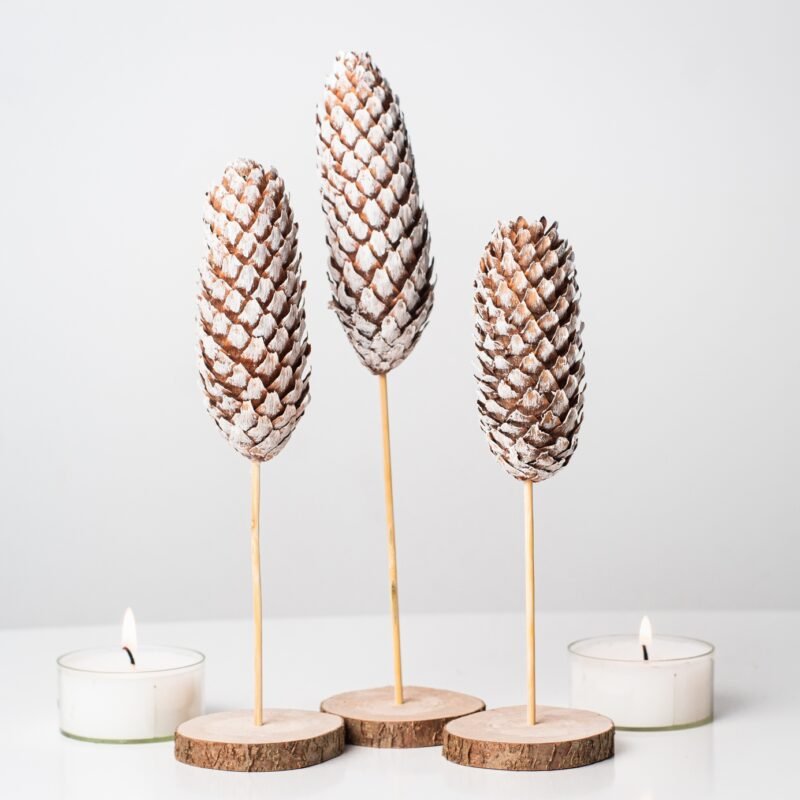 Mini pinecone trees
