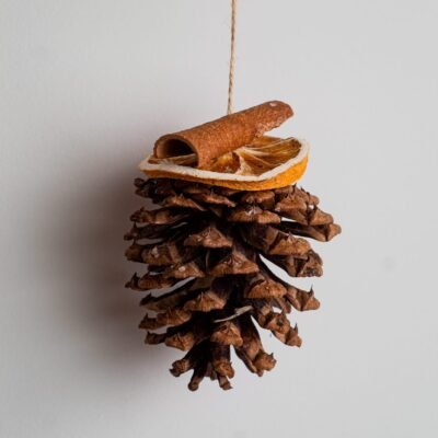 Organic Christmas ornament