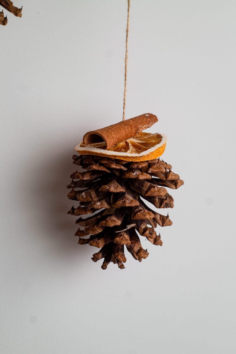 Organic Christmas ornament