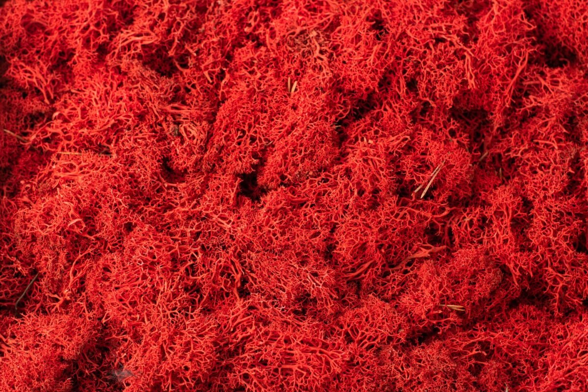 Natural moss wreath - Image 10