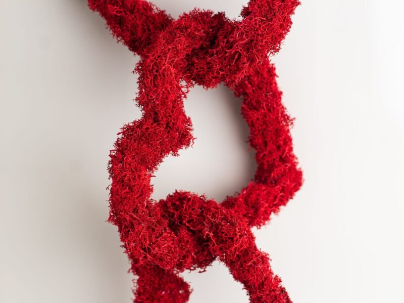 Natural moss heart trio - Image 2