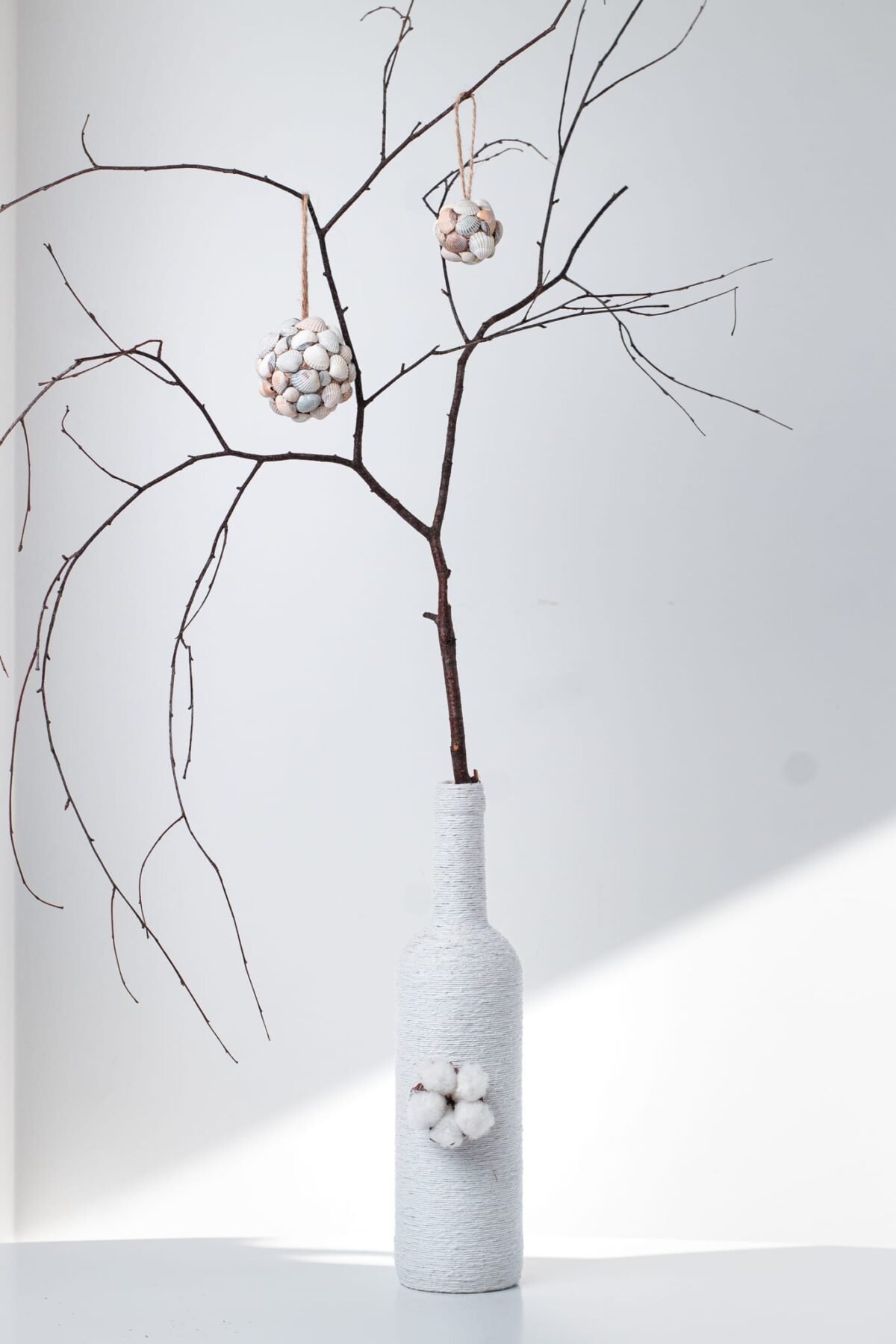 Tropical seashell ornamenents - Image 3