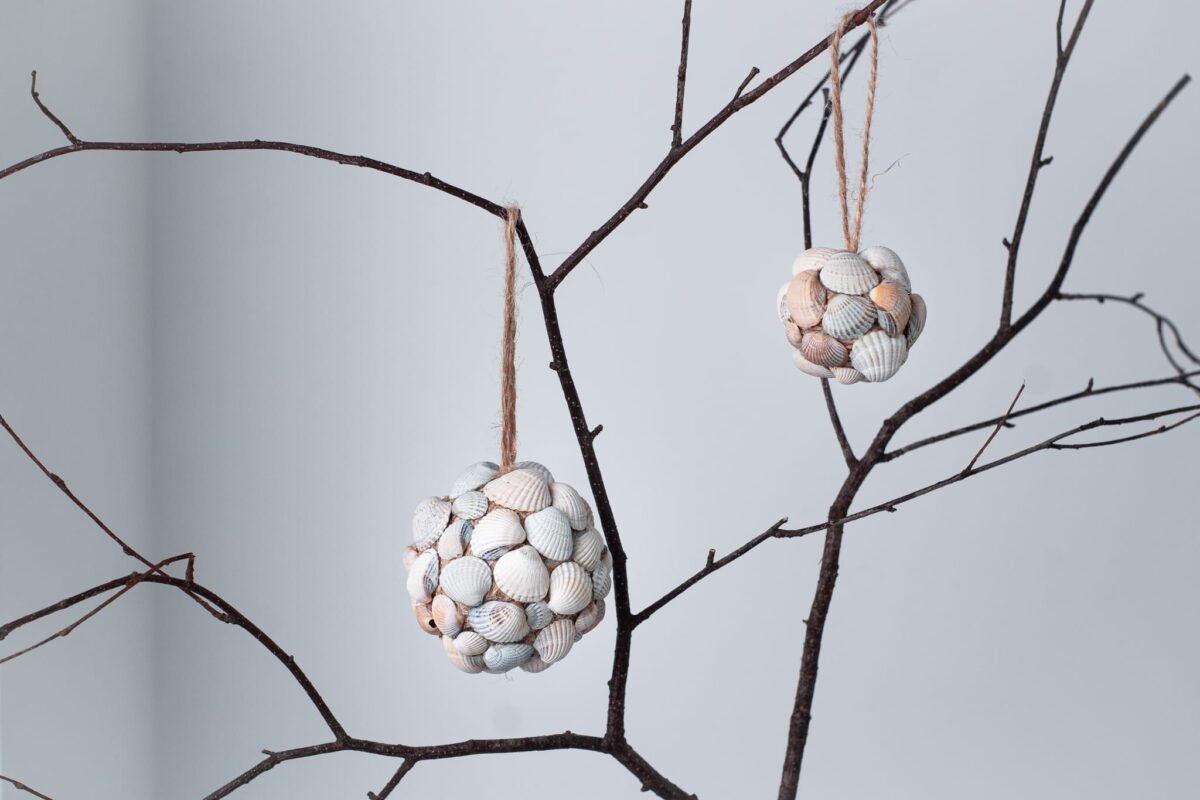 Tropical seashell ornamenents - Image 4