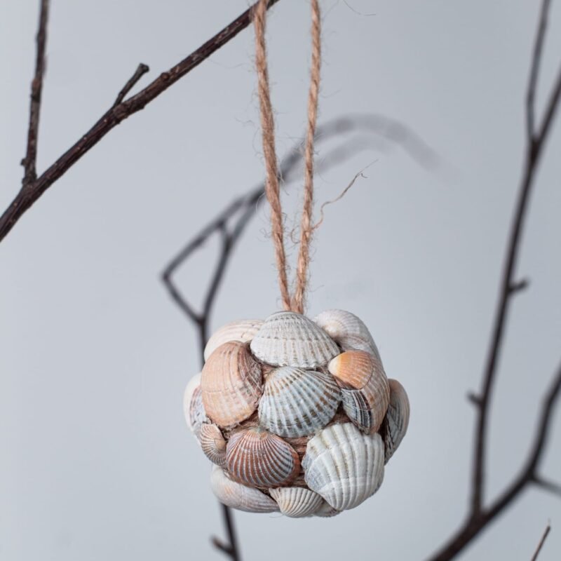 Tropical seashell ornamenents