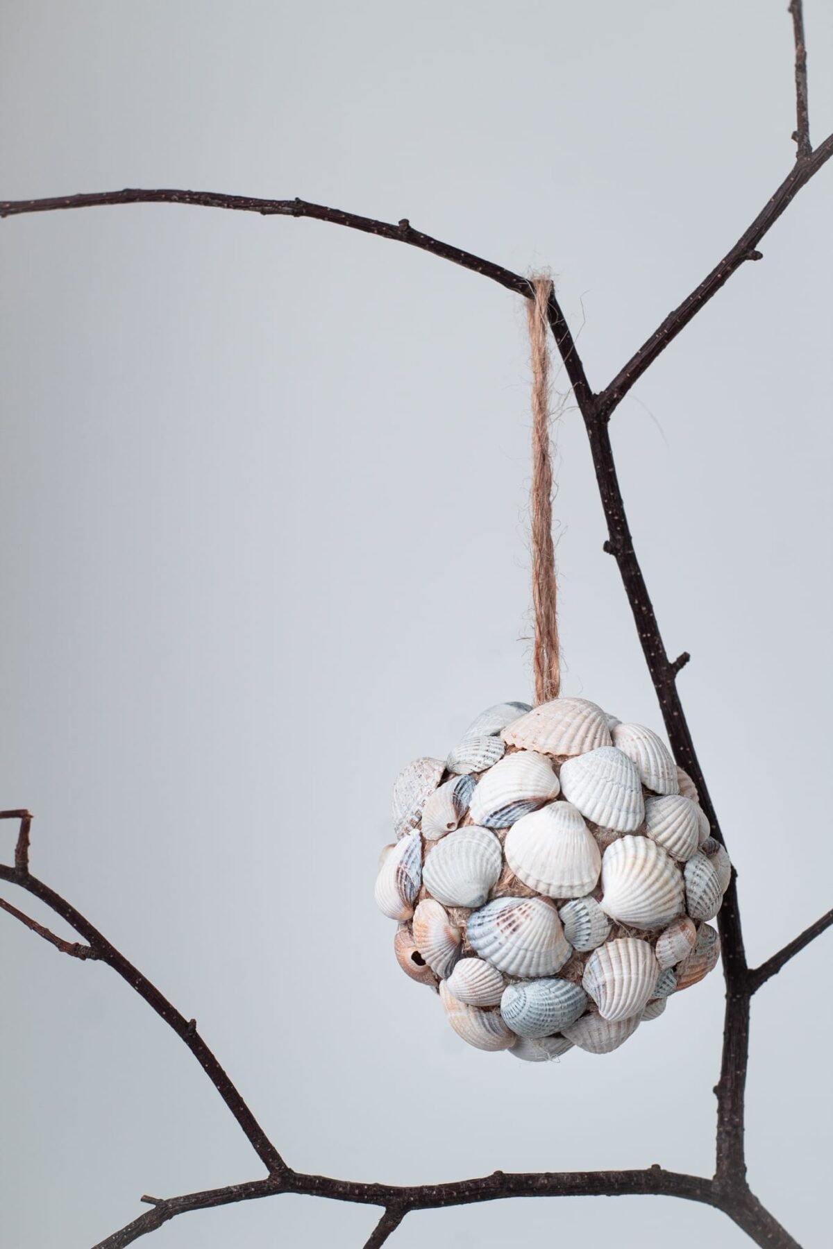 Tropical seashell ornamenents - Image 2