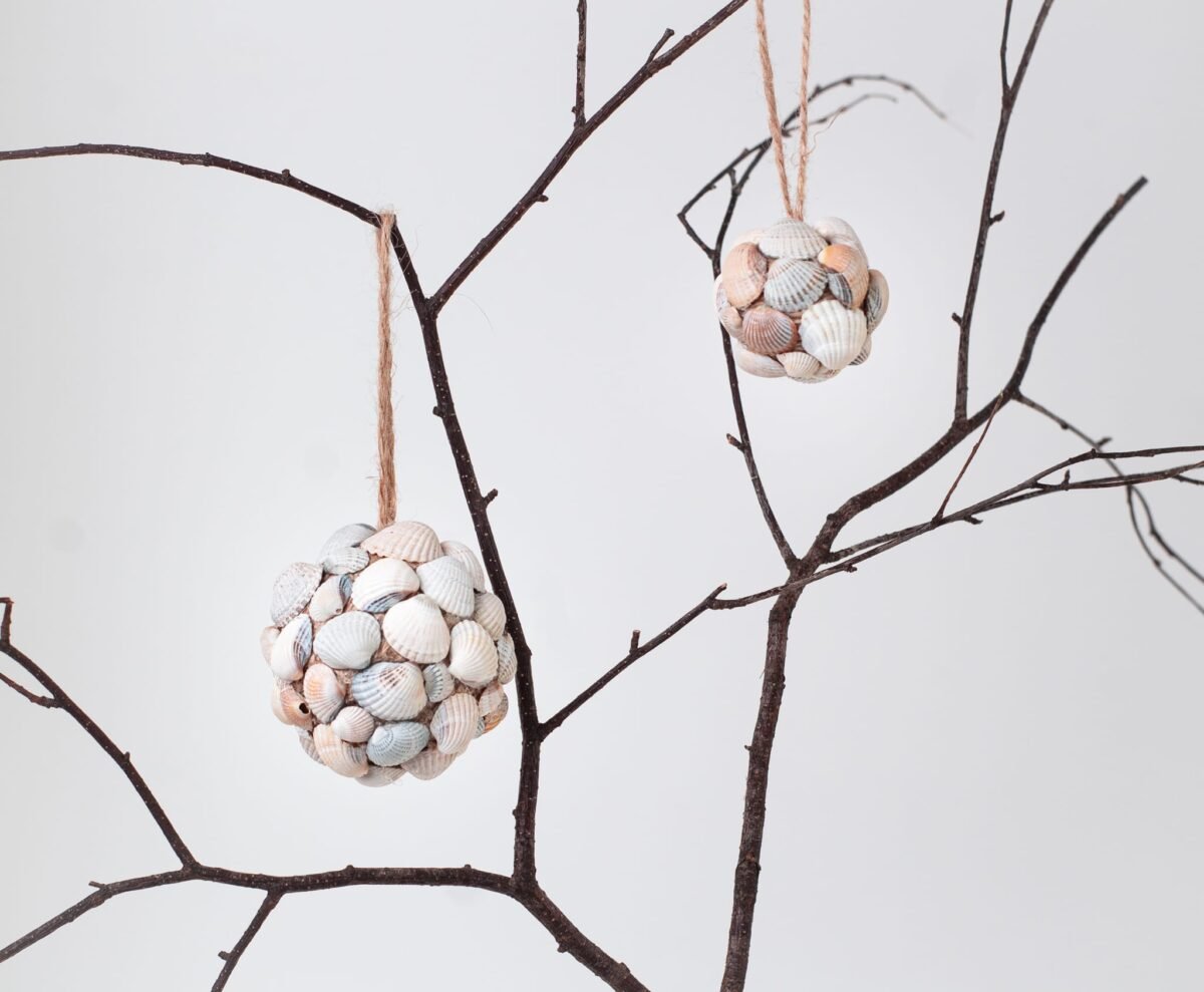 Tropical seashell ornamenents - Image 5