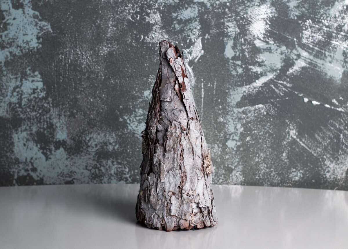 Silver bark tree - Image 6