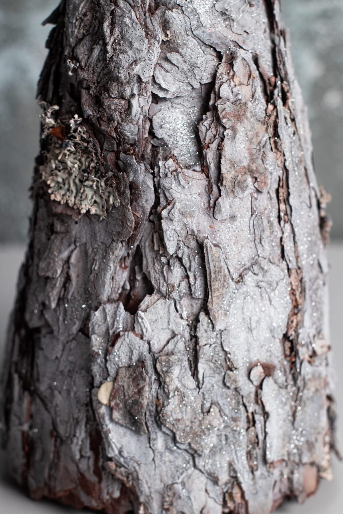 Silver bark tree - Image 5