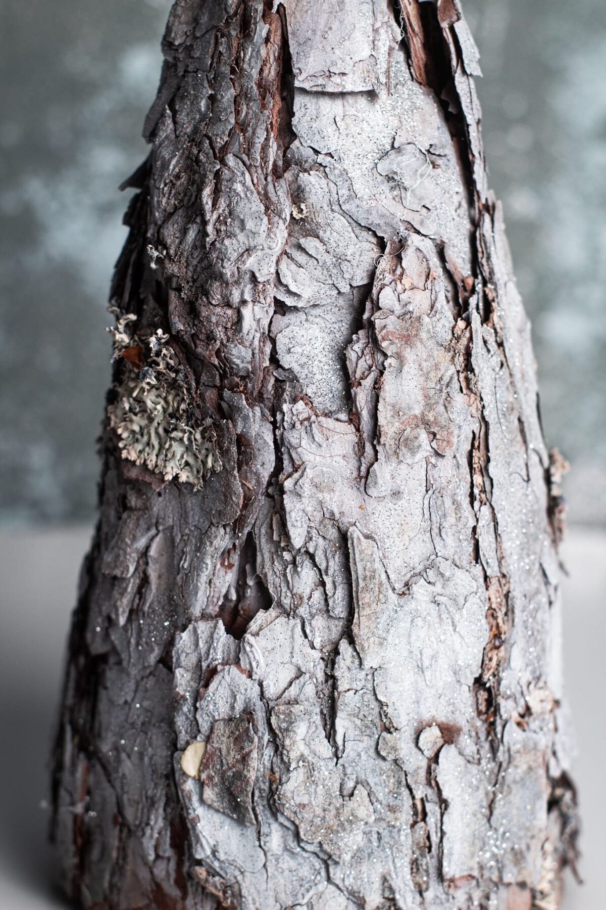Silver bark tree - Image 4