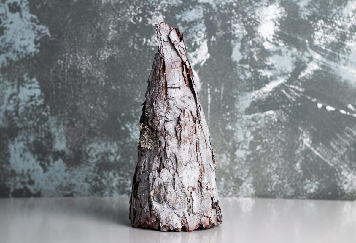 Silver bark tree