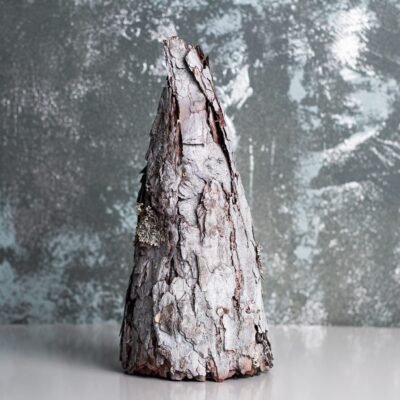 Silver bark tree