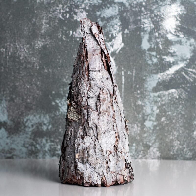 Silver bark tree