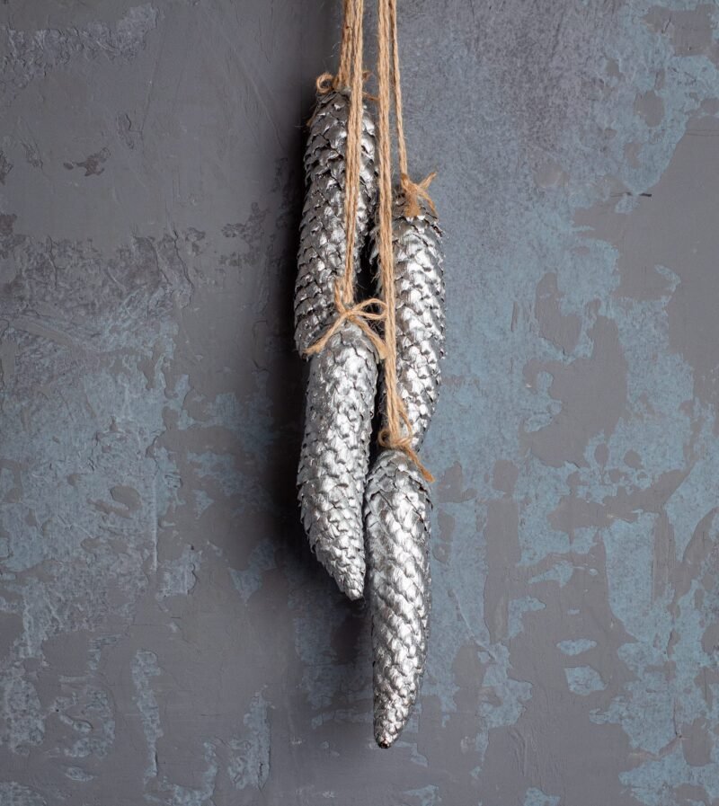 Natural pinecone hanger