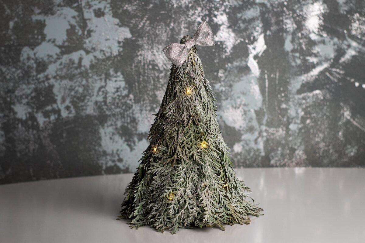 Thuja Christmas tree