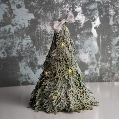 Thuja Christmas tree