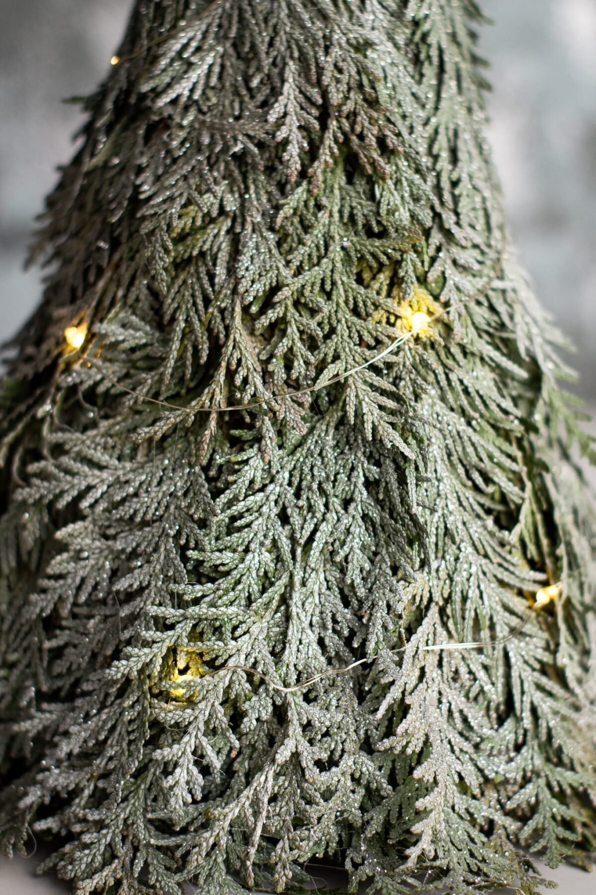 Thuja Christmas tree - Image 6