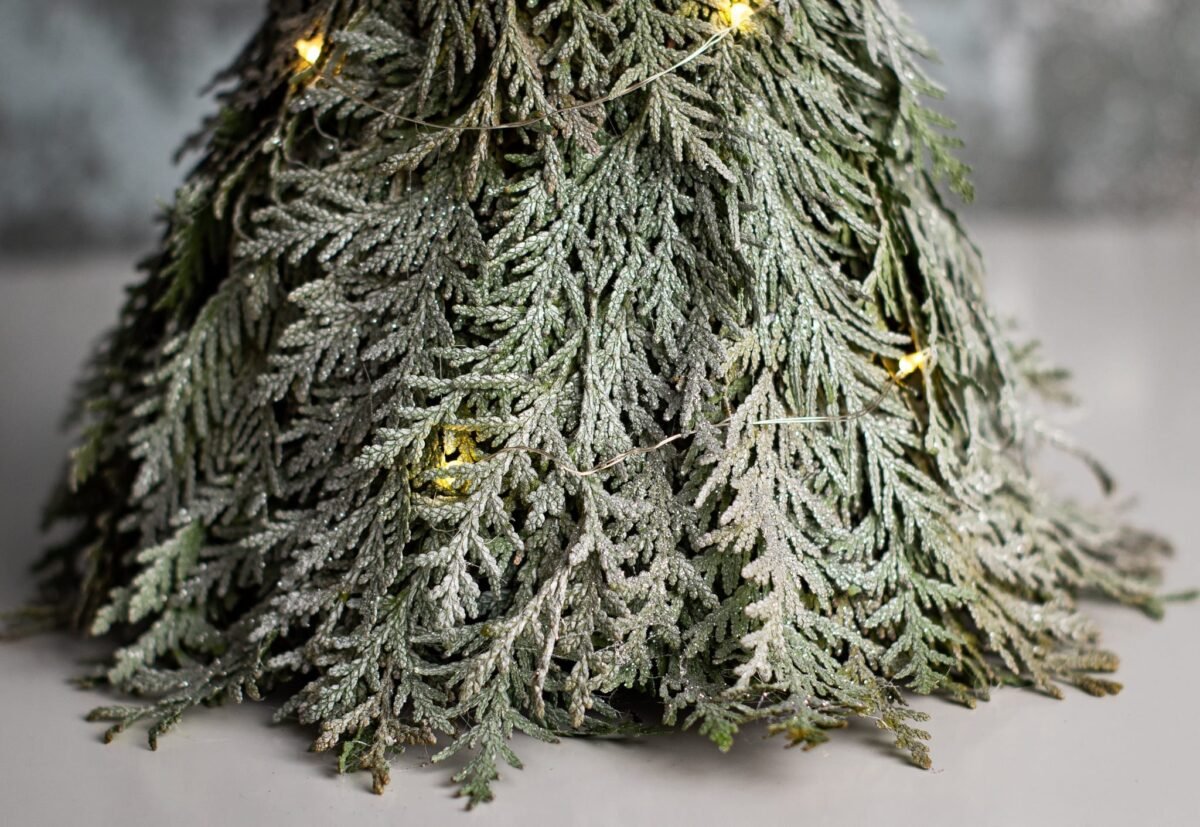 Thuja Christmas tree - Image 5