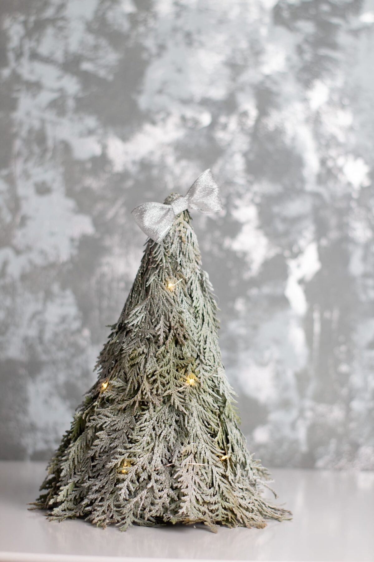 Thuja Christmas tree - Image 4