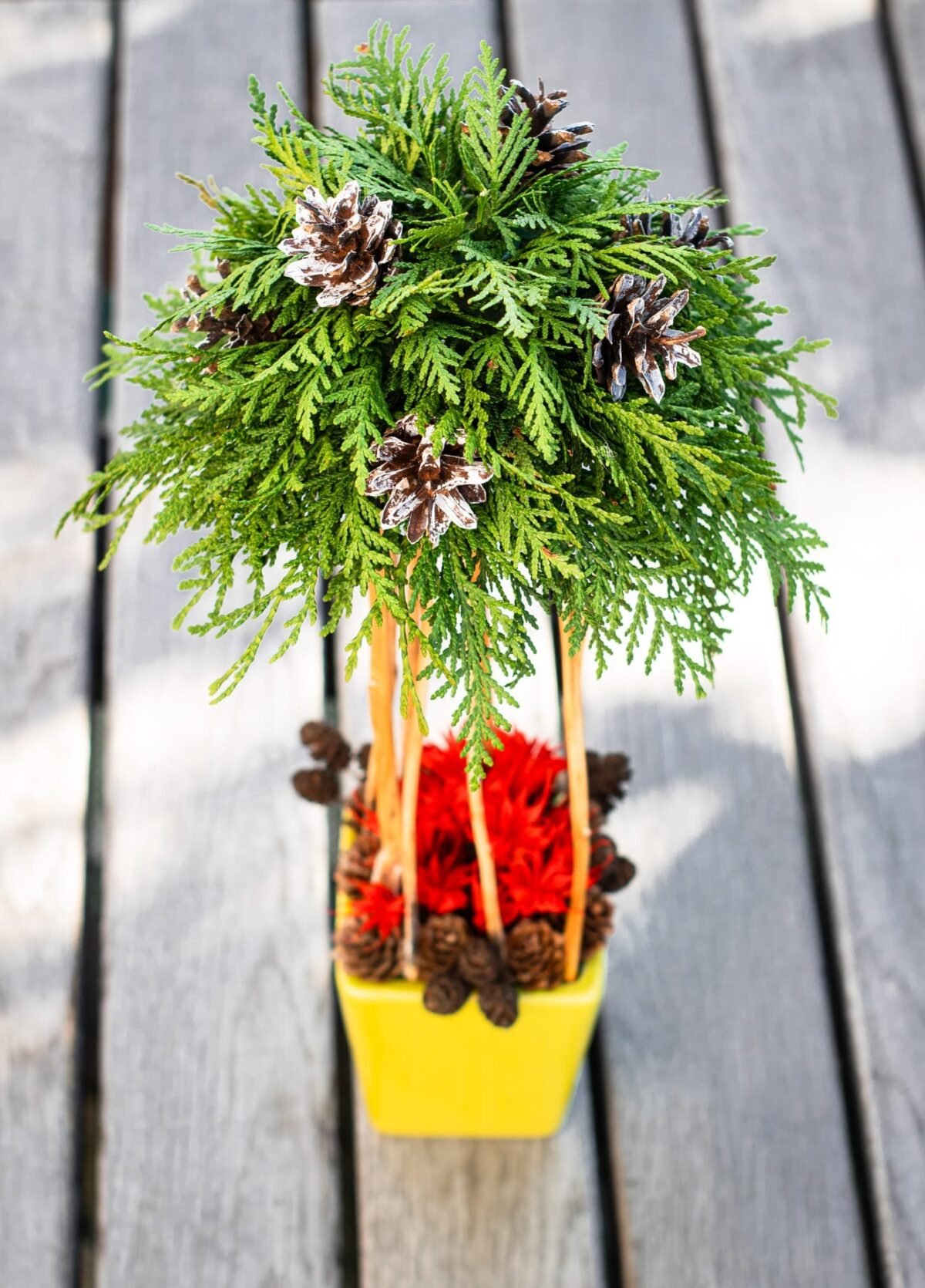 Winter forest bouquet