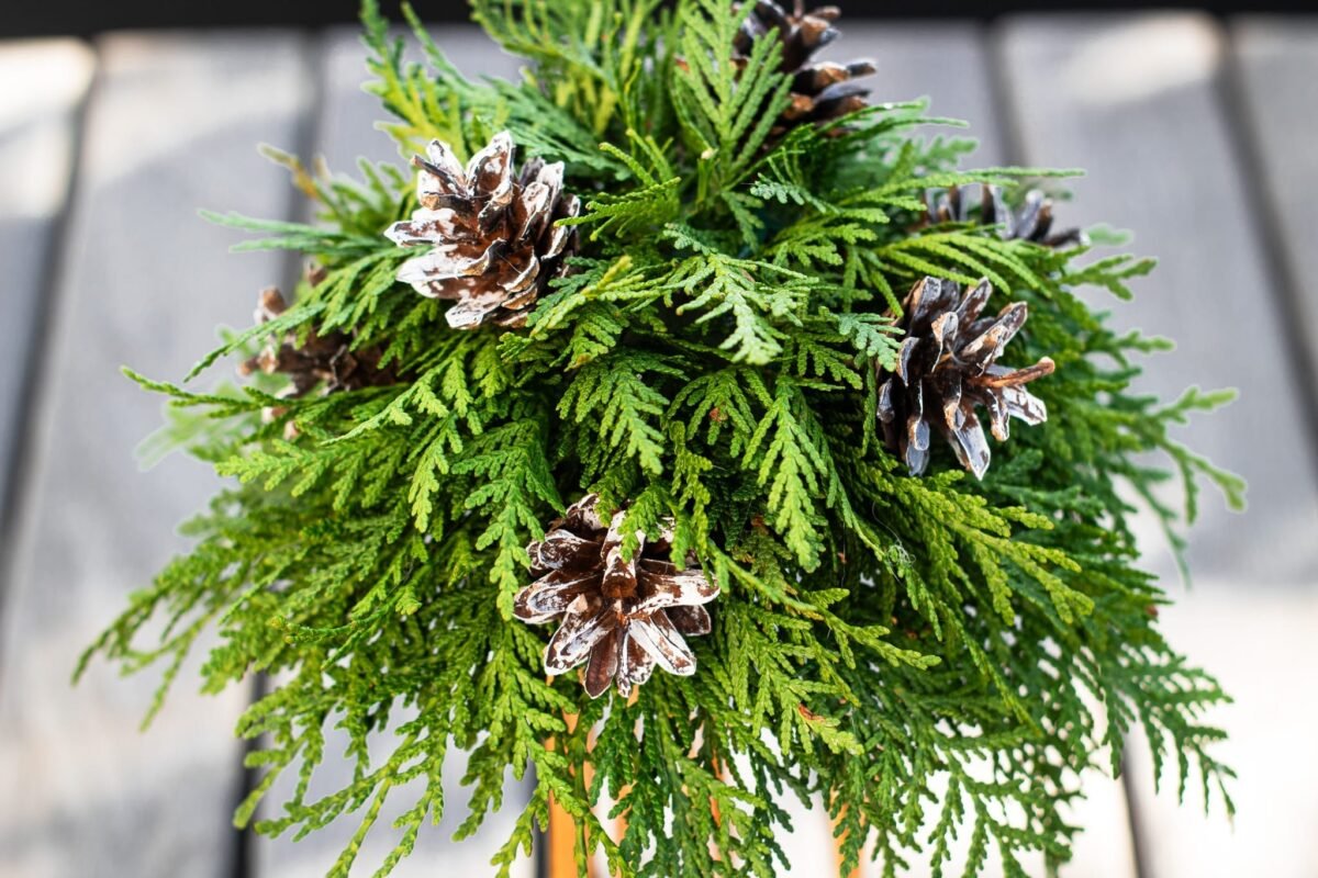 Winter forest bouquet - Image 5