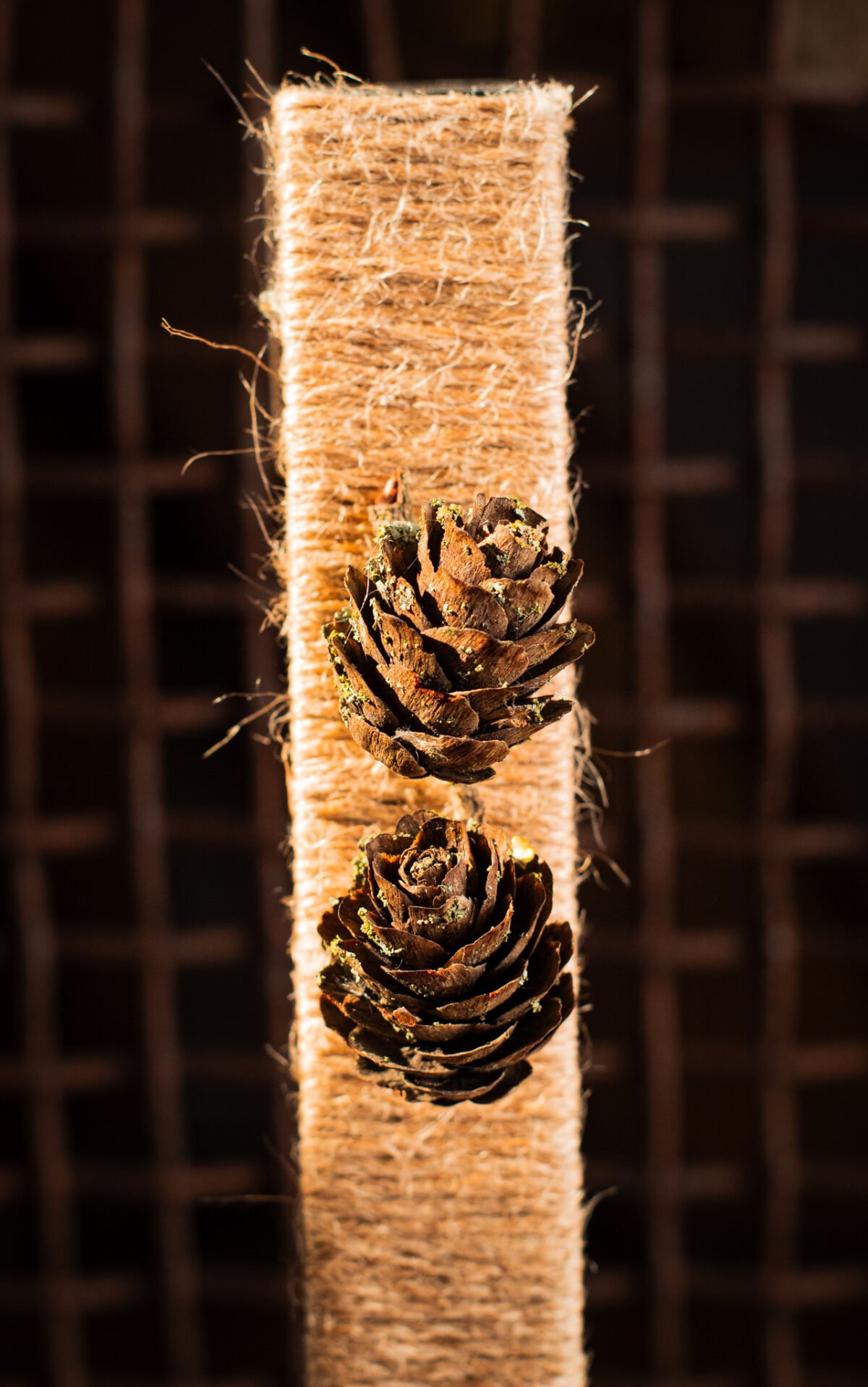Pinecone flower minimalist wreath - Image 2
