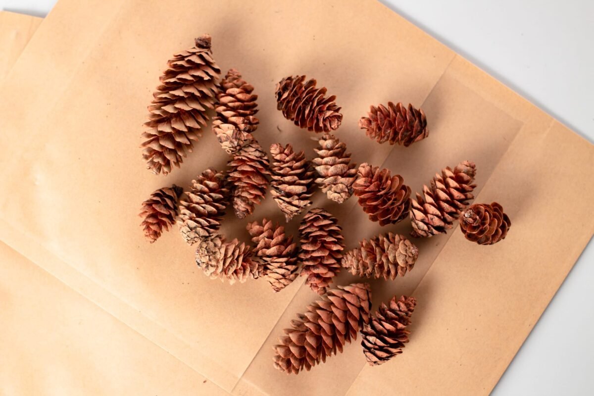 Raw material set - Image 6