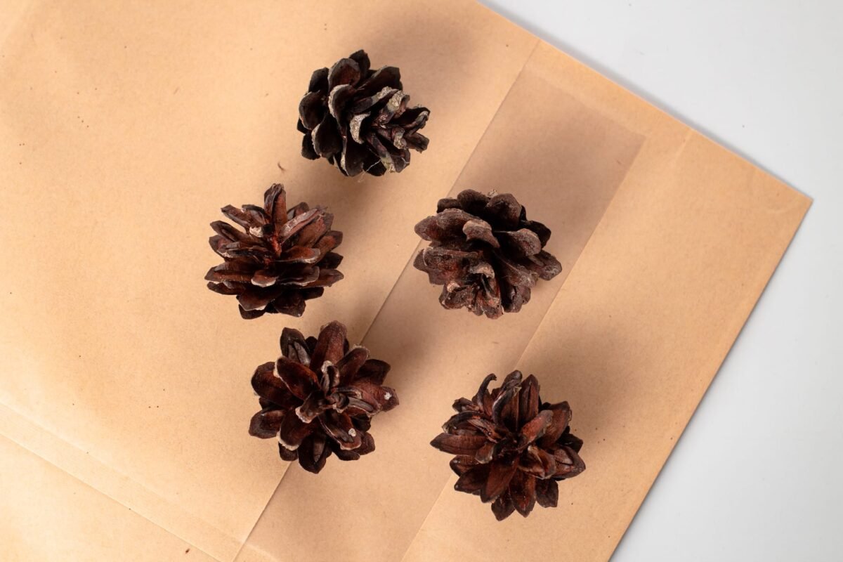 Raw material set - Image 7