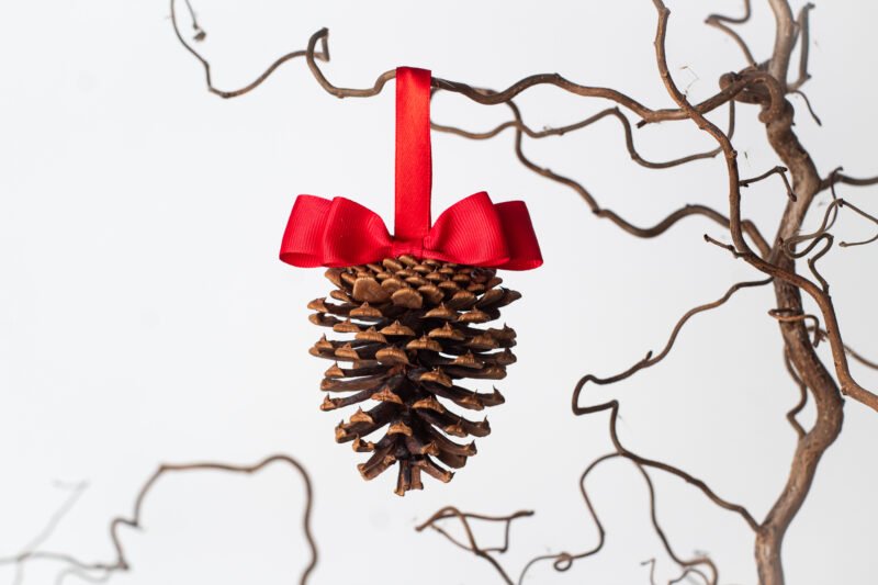 Pinecone ornaments - Image 3