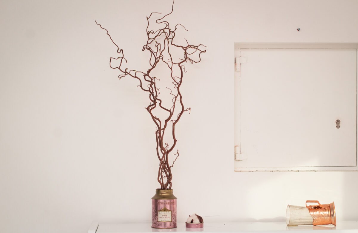 Set of 5 Hazel Branches