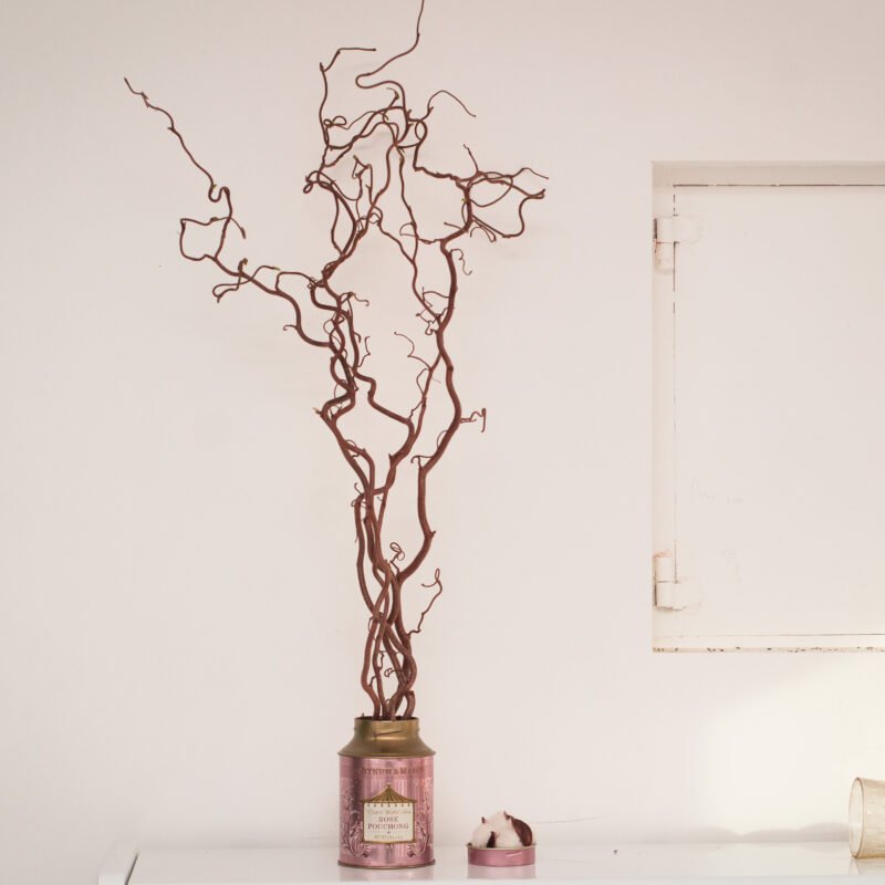 Set of 5 Hazel Branches